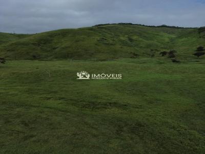 Fazenda para Venda, em Flexeiras, bairro Zona Rural