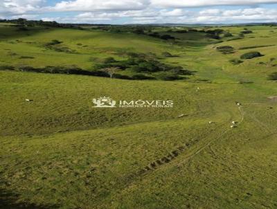 Fazenda para Venda, em Uni�o dos Palmares, bairro Zona Rural